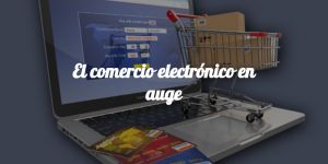 articulo imagen