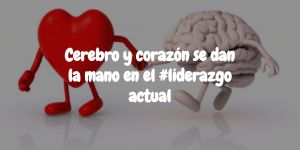 articulo imagen
