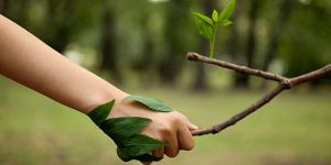 MEDIO AMBIENTE-UNA BUENA OPCIÓN PARA LA FORMACIÓN