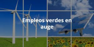articulo imagen