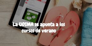 articulo imagen