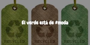 articulo imagen